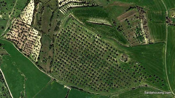terreno agricolo in vendita ad Edolo in zona Vico