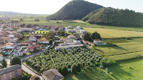 casa indipendente in vendita ad Erbusco in zona Zocco