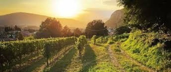 casale in vendita ad Erbusco