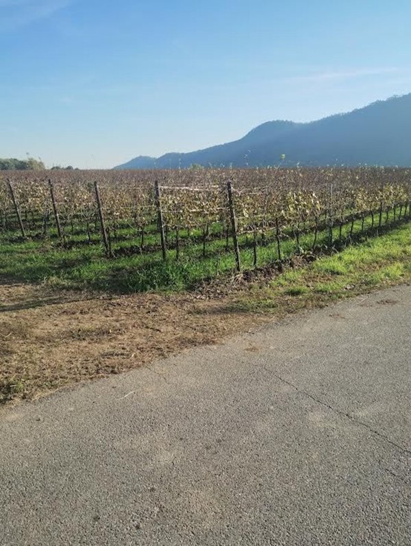 casa indipendente in vendita ad Erbusco in zona Villa