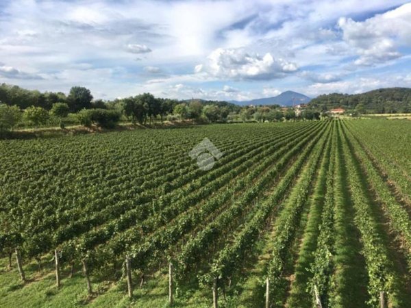 appartamento in vendita ad Erbusco in zona Villa