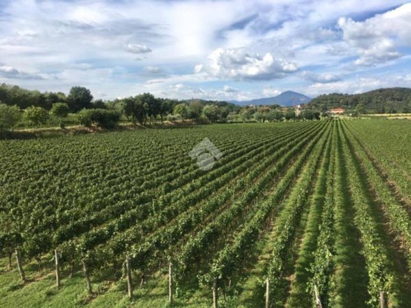 appartamento in vendita ad Erbusco in zona Villa