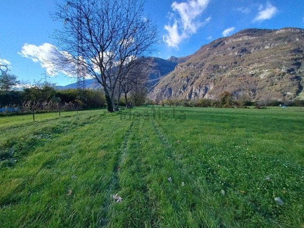 terreno agricolo in vendita ad Esine