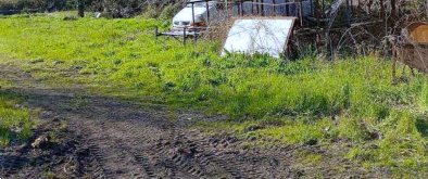 terreno agricolo in vendita a Fiesse