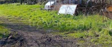 terreno agricolo in vendita a Fiesse