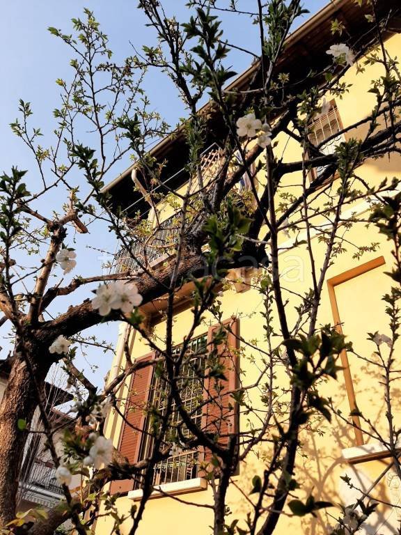 casa indipendente in vendita a Gambara