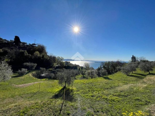 terreno agricolo in vendita a Gardone Riviera in zona Morgnaga