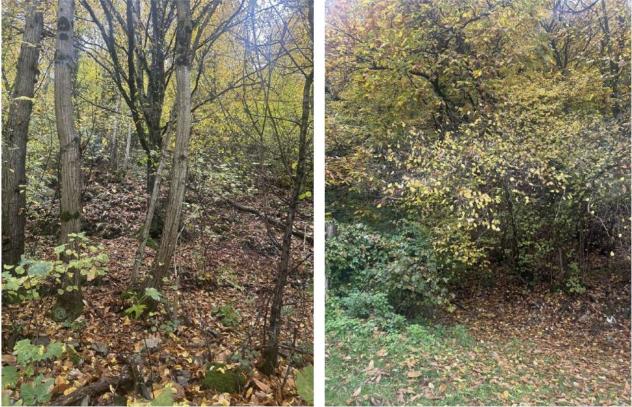 terreno agricolo in vendita a Gardone Riviera