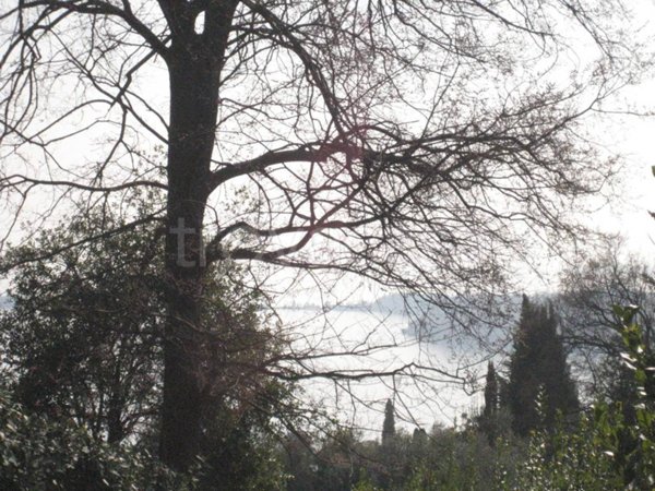 terreno agricolo in vendita a Gardone Riviera in zona Morgnaga