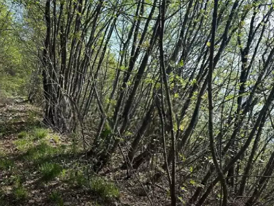 terreno agricolo in vendita a Gardone Riviera