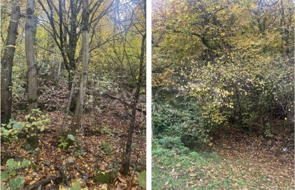 appartamento in vendita a Gardone Riviera