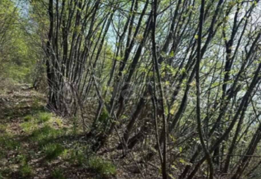 terreno agricolo in vendita a Gardone Riviera