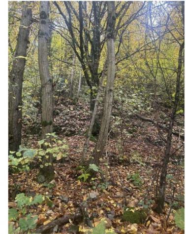 terreno agricolo in vendita a Gardone Riviera