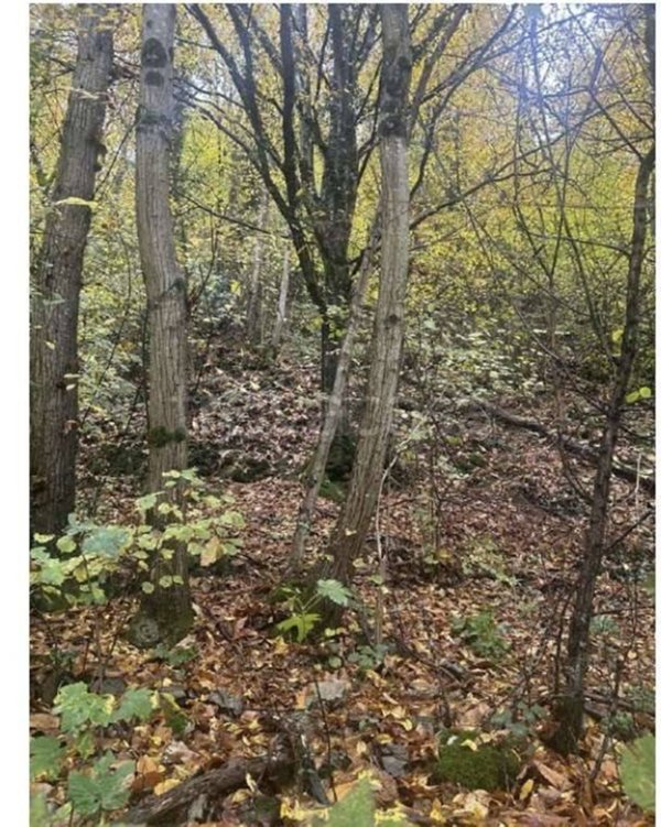 appartamento in vendita a Gardone Riviera