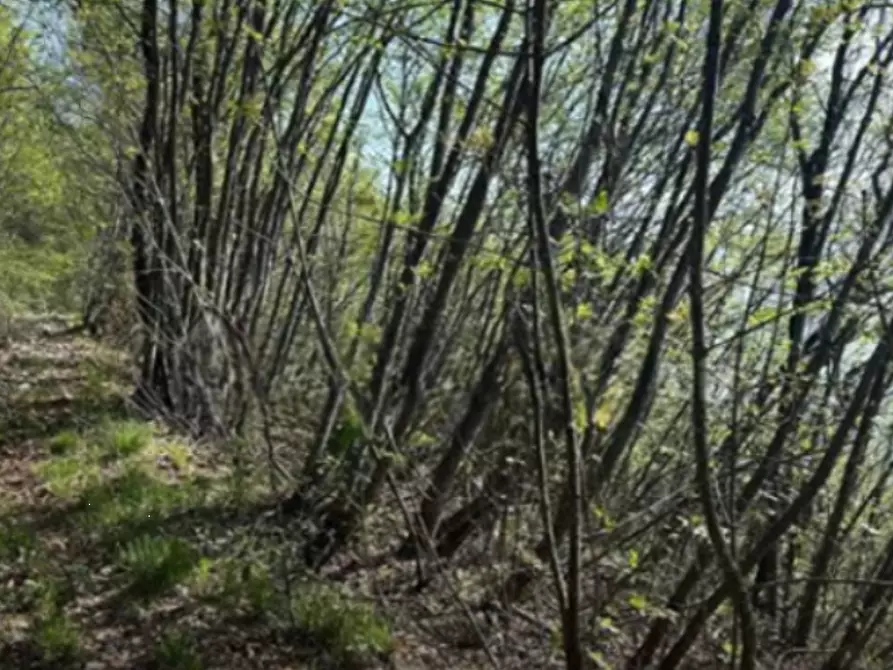 terreno agricolo in vendita a Gardone Riviera