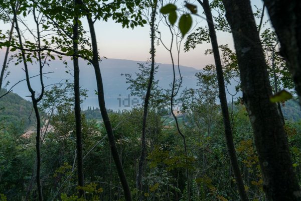 quadrivano in vendita a Gargnano