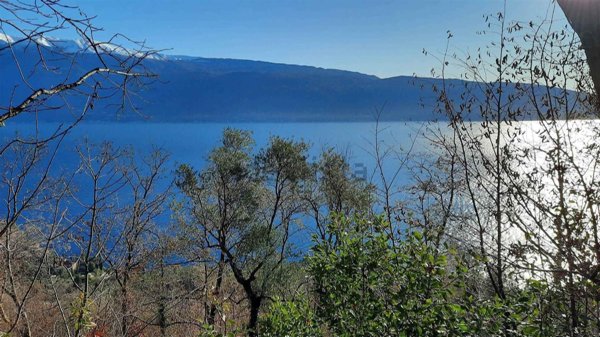 terreno agricolo in vendita a Gargnano