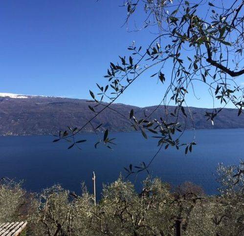 negozio in vendita a Gargnano