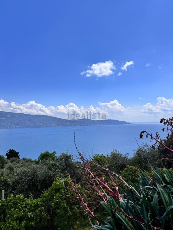 immagine annuncio 0 di 1