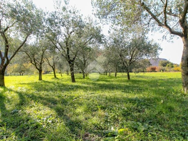 terreno agricolo in vendita a Gavardo in zona Sopraponte