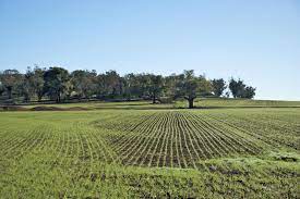 terreno agricolo in vendita a Gavardo