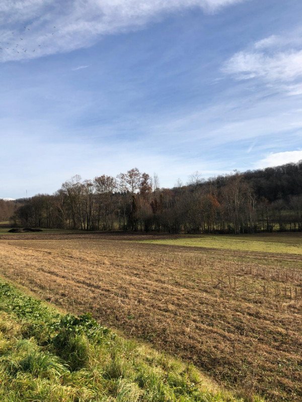 terreno agricolo in vendita a Gavardo