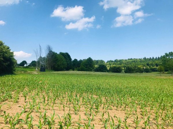 terreno agricolo in vendita a Gavardo
