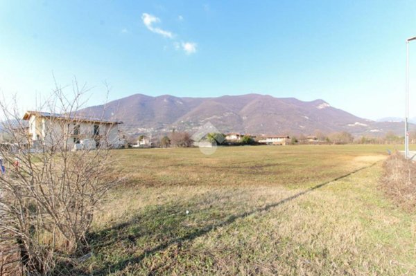 immagine annuncio 0 di 14