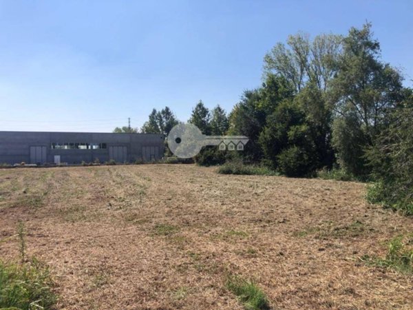 terreno agricolo in vendita a Ghedi