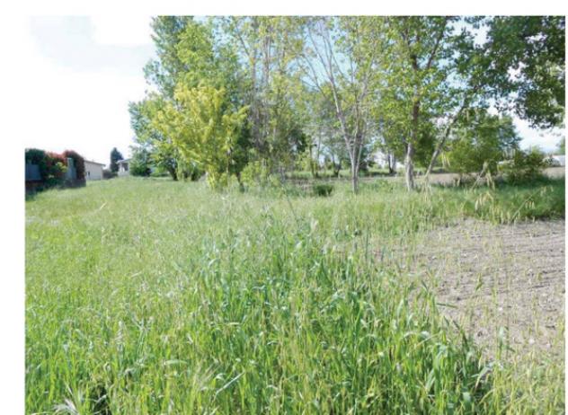 terreno edificabile in vendita a Ghedi