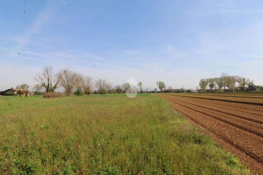 terreno agricolo in vendita a Ghedi