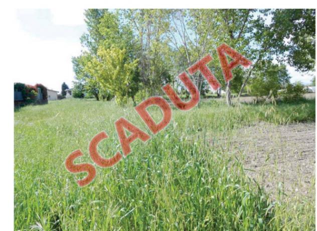 terreno edificabile in vendita a Ghedi