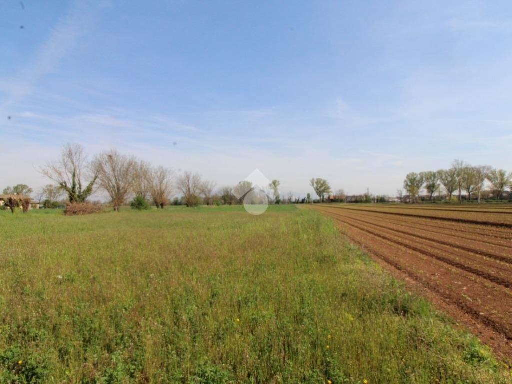 terreno agricolo in vendita a Ghedi