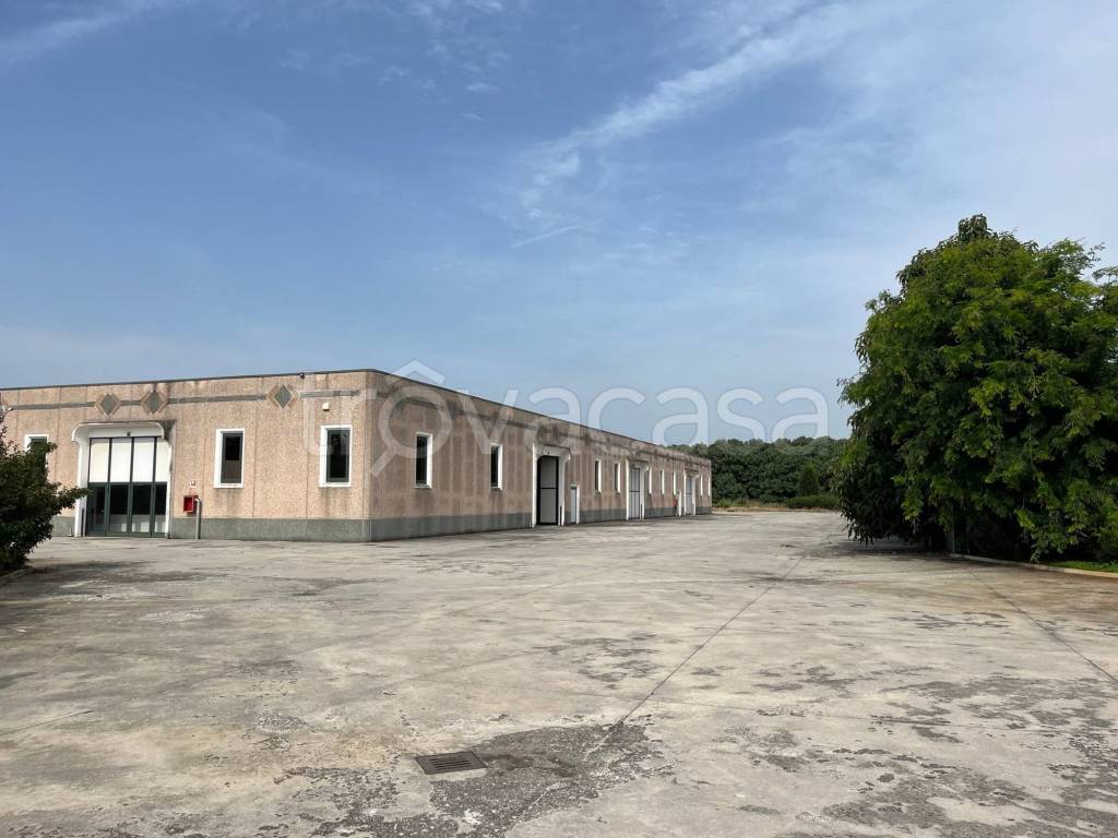 locale commerciale in vendita a Gottolengo