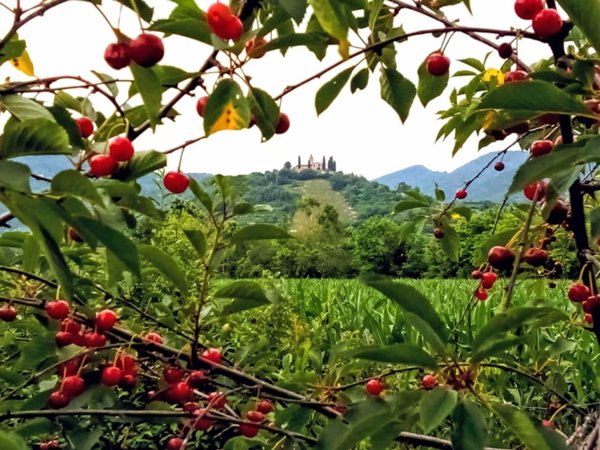 casa indipendente in vendita a Gussago in zona Villa