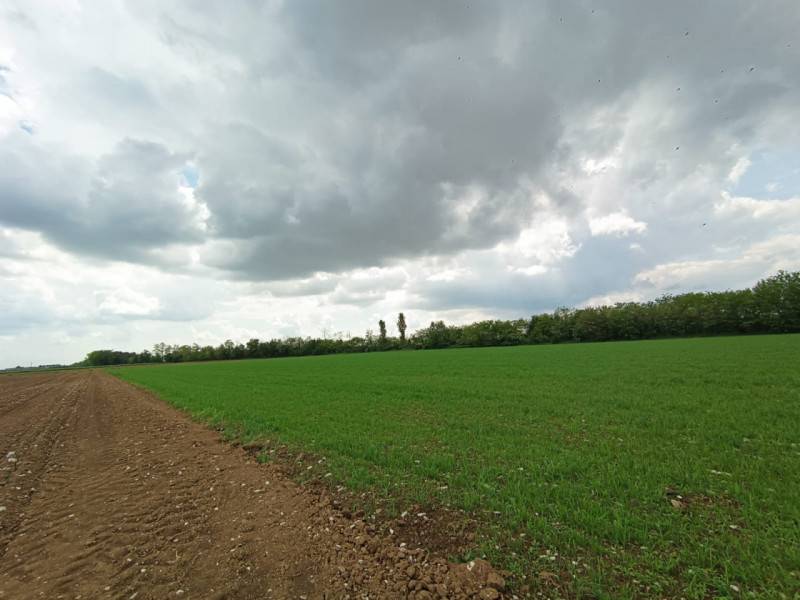 terreno agricolo in vendita a Gussago in zona Ronco