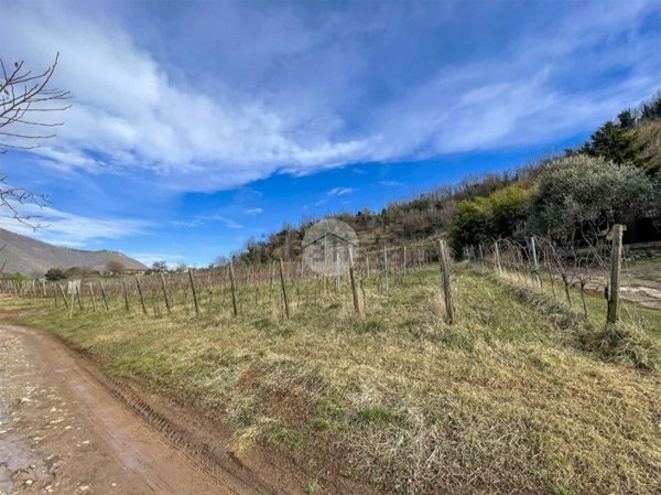 terreno agricolo in vendita a Gussago
