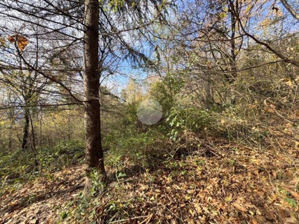 terreno agricolo in vendita a Gussago