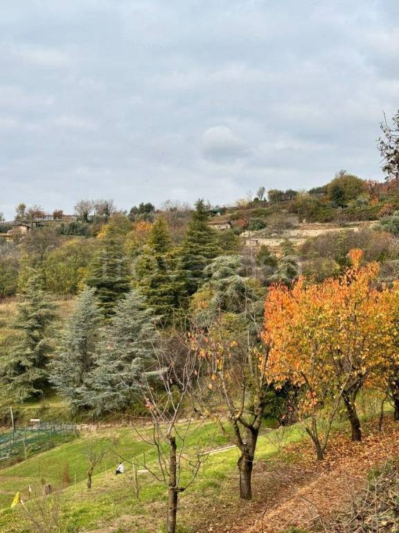 terreno agricolo in vendita a Gussago in zona Casaglio
