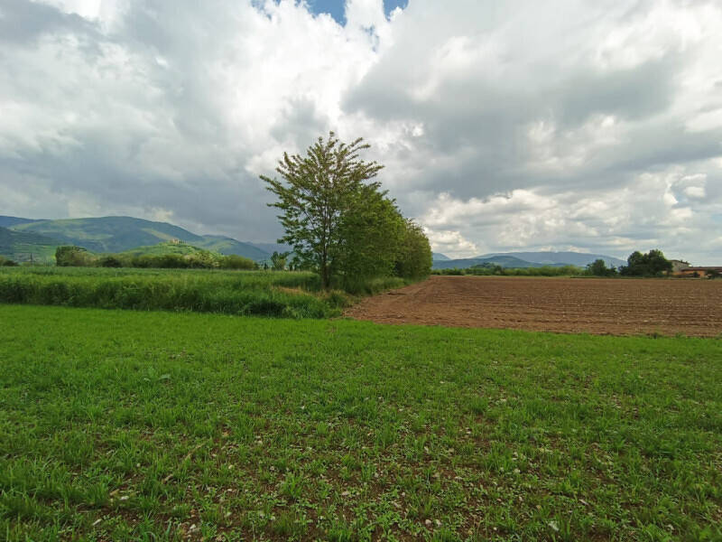 terreno agricolo in vendita a Gussago in zona Ronco