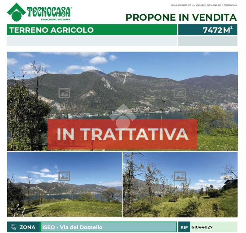 terreno agricolo in vendita ad Iseo