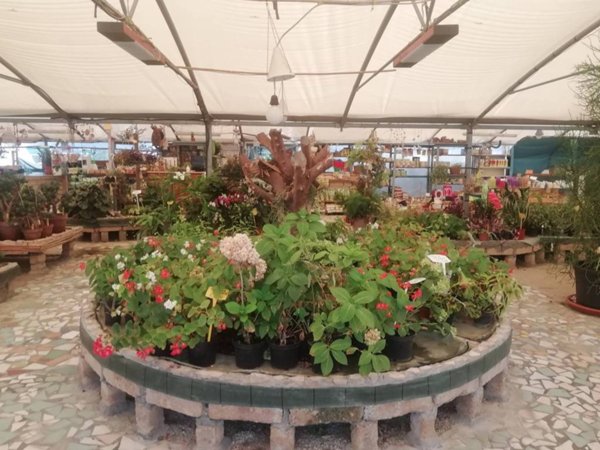 negozio in vendita ad Iseo