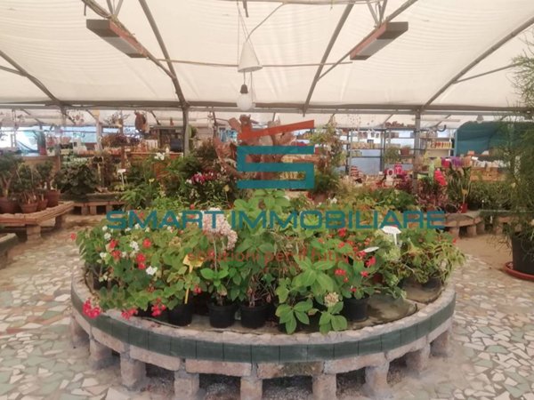 negozio in vendita ad Iseo