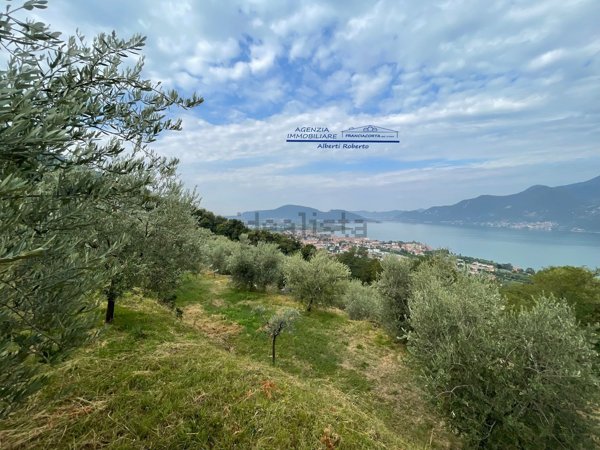 terreno agricolo in vendita ad Iseo