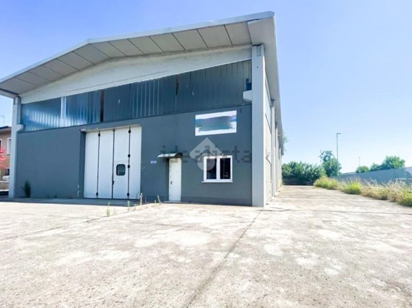loft in vendita ad Isorella