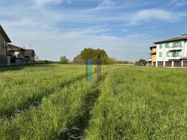 terreno agricolo in vendita ad Isorella