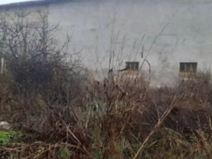 terreno agricolo in vendita ad Isorella