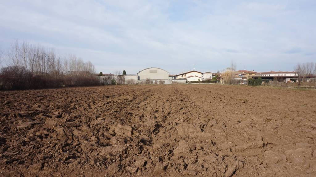 terreno agricolo in vendita ad Isorella