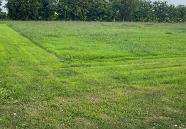 terreno agricolo in vendita ad Isorella