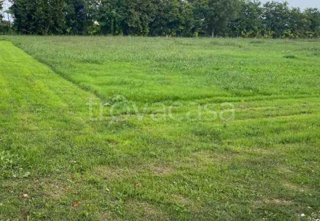 terreno agricolo in vendita ad Isorella